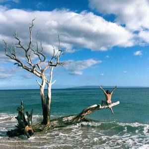 Meet your Posher, Desiree